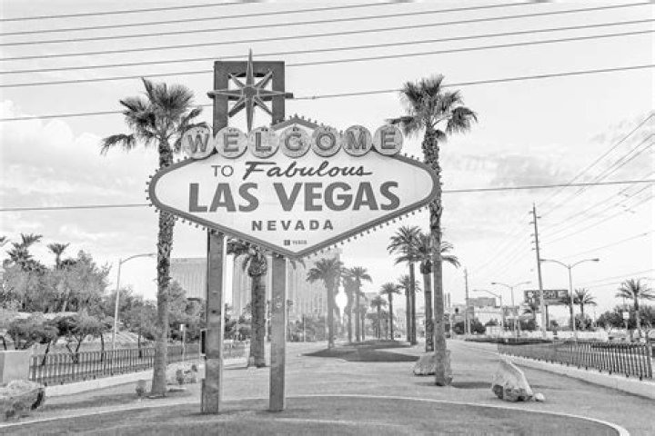 Exploring the Fascinating World of Vegas Pets